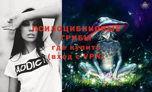 ПСИЛОЦИБИНОВЫЕ ГРИБЫ Алексин