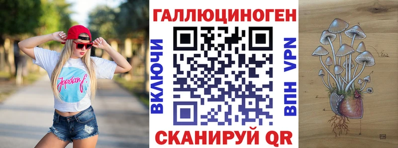 где купить   Апрелевка  Галлюциногенные грибы Psilocybe 
